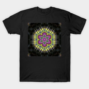 Elemental Ecstasy 40 T-Shirt